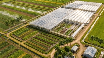 Greenhouse