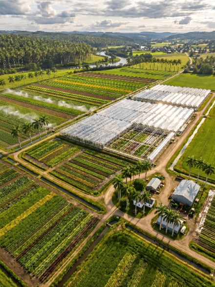 Greenhouse