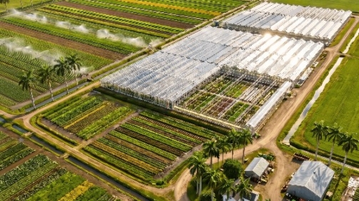 Greenhouse